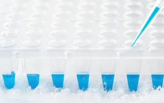 ин витро анализ